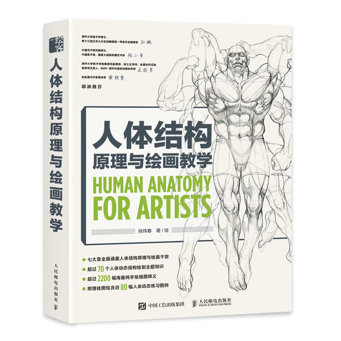 人体结构原理与绘画教学
